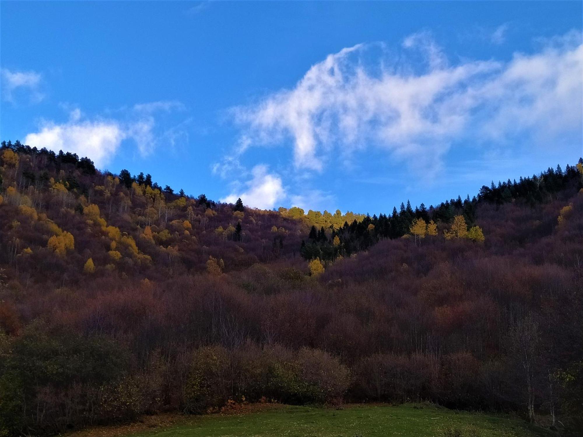 Gujejiani Guest House Mestia Zewnętrze zdjęcie