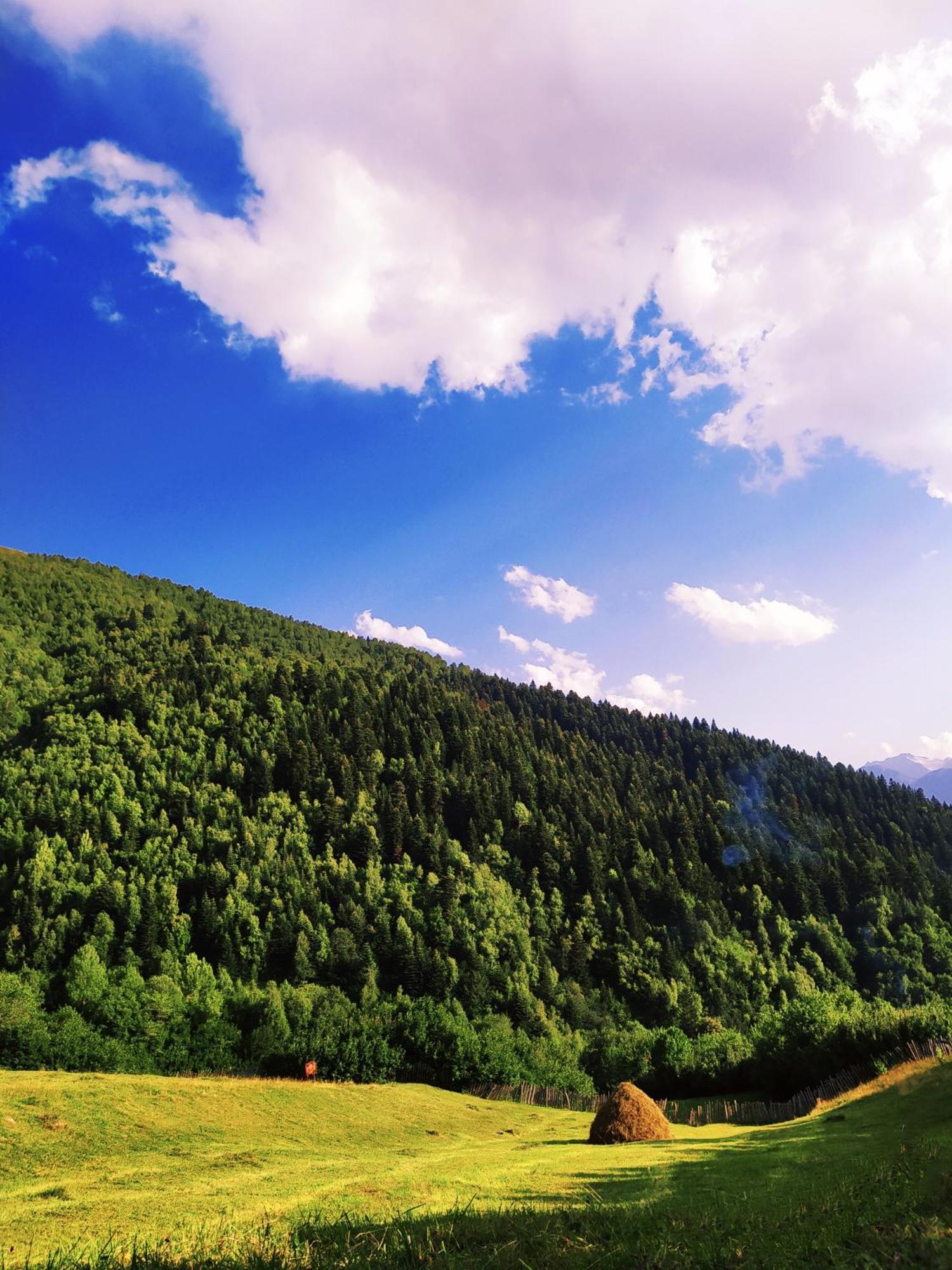 Gujejiani Guest House Mestia Zewnętrze zdjęcie