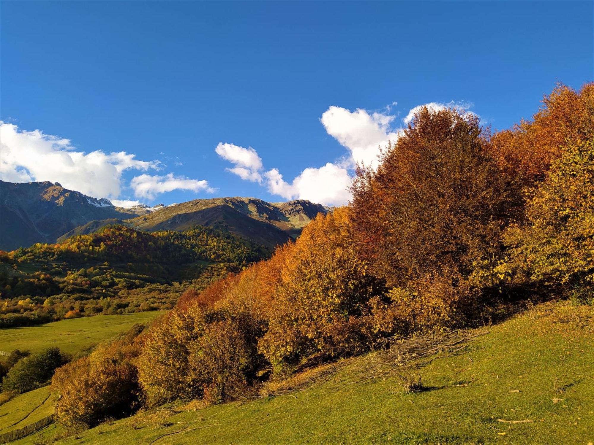 Gujejiani Guest House Mestia Zewnętrze zdjęcie
