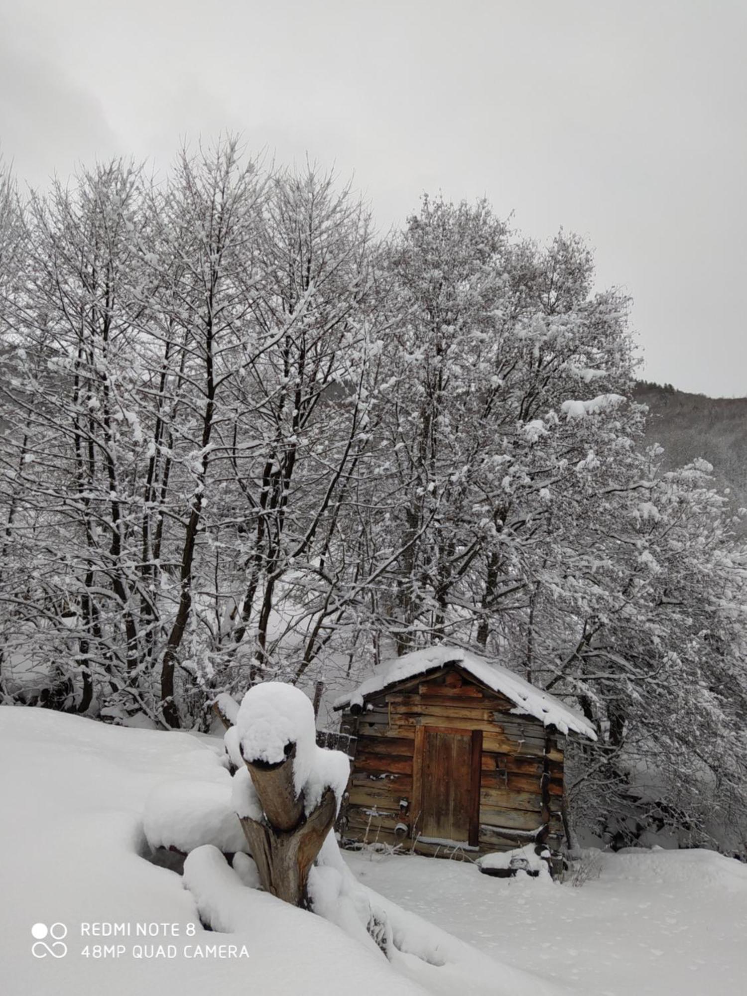 Gujejiani Guest House Mestia Zewnętrze zdjęcie